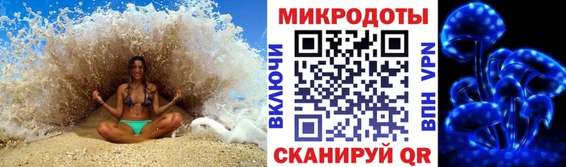 Галлюциногенные грибы Cubensis  Купить закладки  Геленджик 